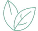 feuilles représentant le secteur de la cosmétique naturelle et BIO
