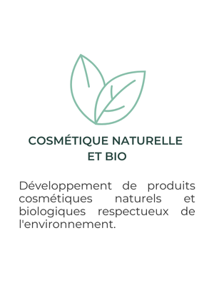 feuilles vertes, représentant le secteur de la cosmétique naturelle et bio
